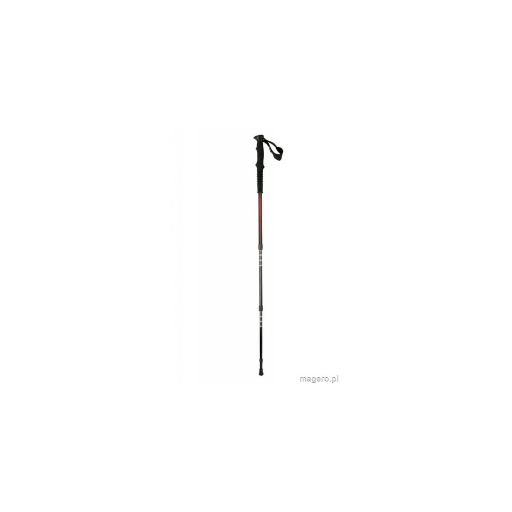 Kije do nordic walking DIORITE FERRINO