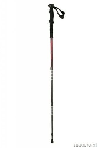 Kije do nordic walking DIORITE FERRINO