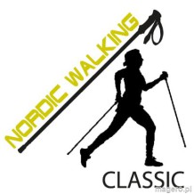Kije Nordic Walking FERRINO Step-in 85-135 cm